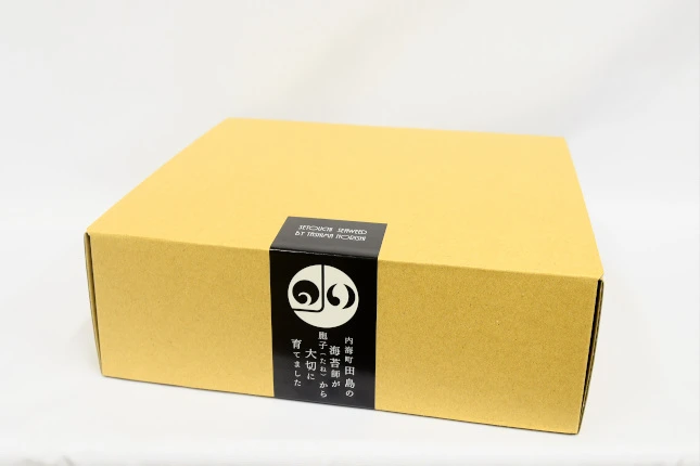【ギフト】とにかくこれがうまいんじゃ！塩のり6本セット