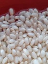 新米【無農薬コシヒカリ】玄米4kg（2kg×2袋）【80】令和5年産 有機肥料