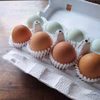 うつしの森のたまごセット（会津地鶏・アローカナ）