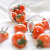 【春だ！旬だ！プチぷよだ！】☆さくらんぼのようなミニトマト☆