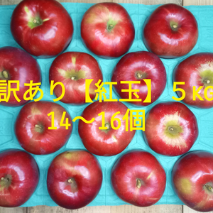 【訳アリ】青森県産りんご『紅玉』大玉！ヤケあり！