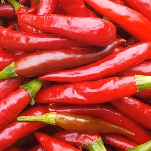 (鷹の爪)美味しい辛みお届けいたします。300gセット