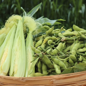 ６月発【予約増量(^^♪】ヤングコーン&枝付き枝豆
