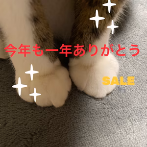歳末セール！道南産　養殖 真昆布パウダー送料無料♪注意点あり