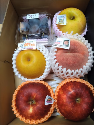 みんなの投稿の画像