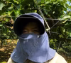 夏の味覚＾＾　綺麗な幸水梨 8月上旬～ 5キロ箱