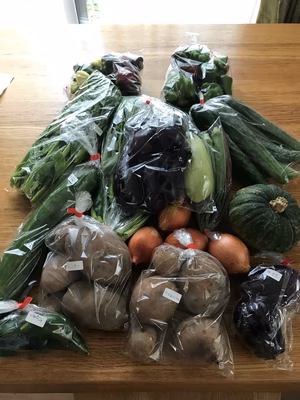 みんなの投稿の画像