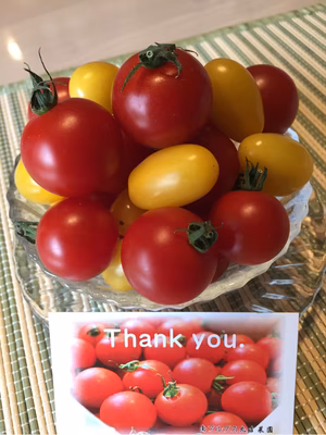 みんなの投稿の画像