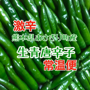 【全国送料一律】辛さ薫る　激辛青唐辛子