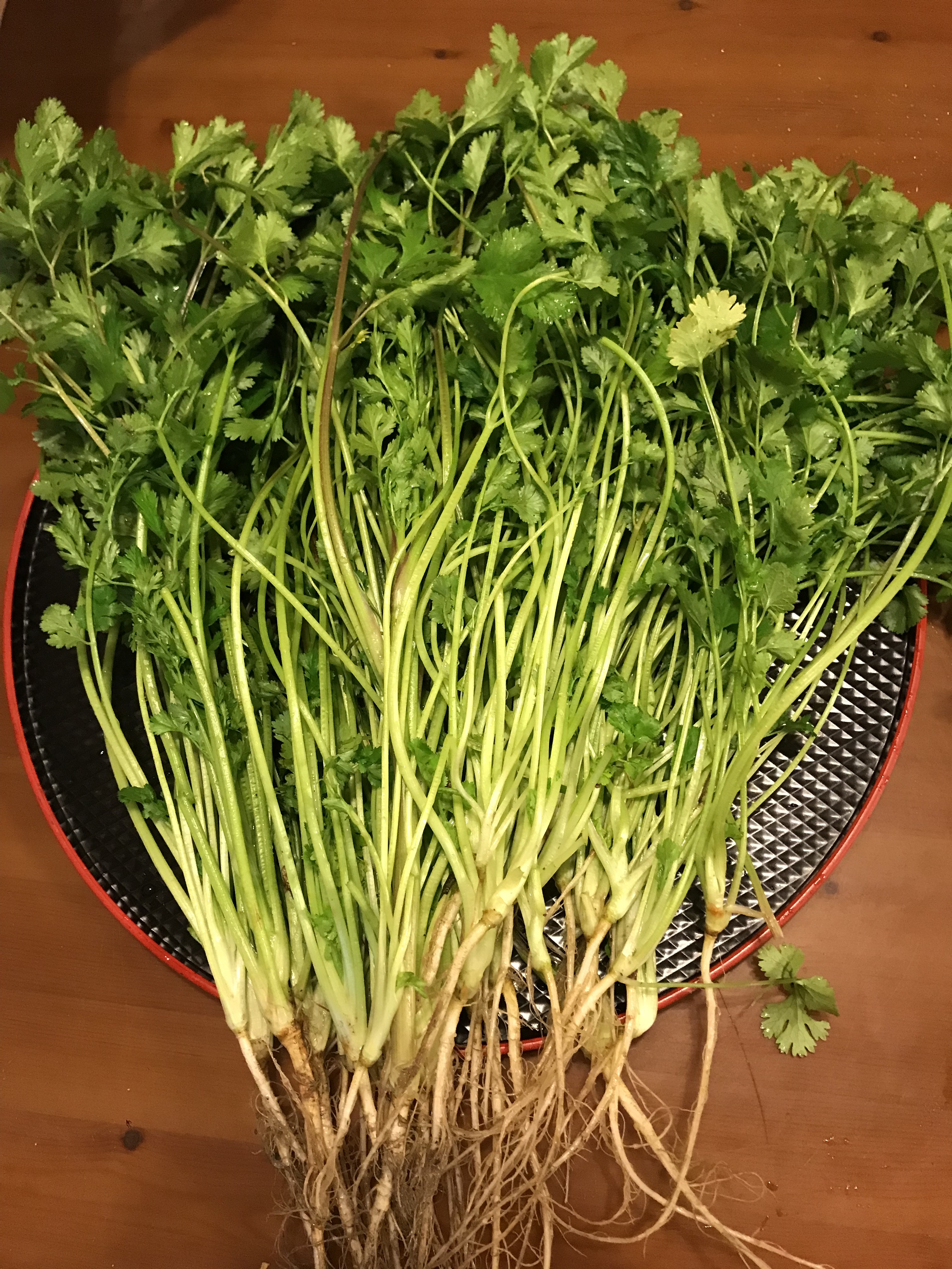 パクチーの通販・お取り寄せ商品｜野菜｜ポケットマルシェ｜産地