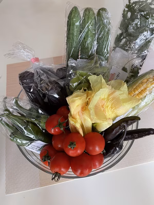 みんなの投稿の画像