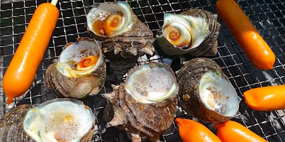 サザエのお料理アイデア【みんなの投稿まとめ】