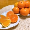 【送料無料】 低農薬 みかんお試しセット 温州みかん･スイートスプリング