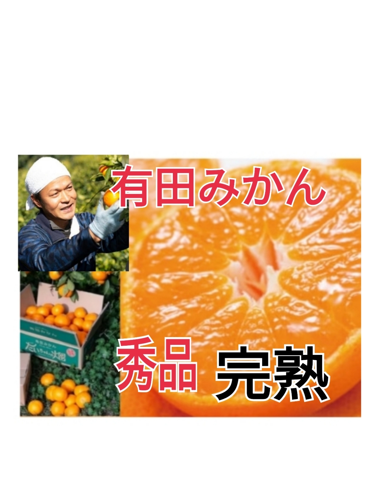 すぐ発送｜ラスト15】越冬・味濃い 有田みかん／完熟田口早生｜みかん