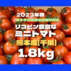 ミニトマト　1.8kg 野菜　熊本産　弁当　ミネラル　リコピン　産地直送　おかず