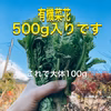 春を先取り！　有機菜花【菜花・なばな】