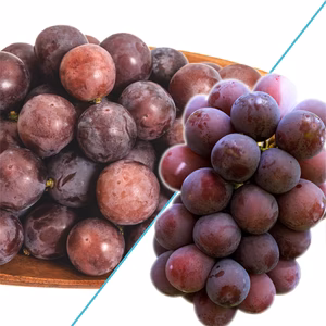 【訳あり】WP-1 花笑み農園　訳あり『ニューピオーネ』1kg　9/7～