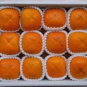 【特大種なし柿】12個箱入和歌山紀の川産「常温便」