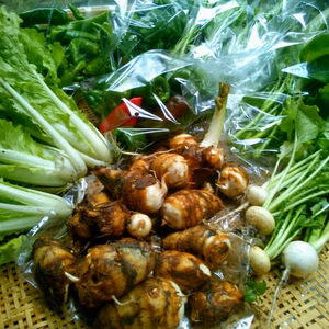 旬のお野菜セット