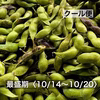‘22年〈最盛期〉クール便丹波篠山黒枝豆さや 10/14(金)〜10/20(木)