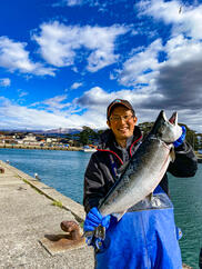 鮭の季節到来 秋田県産 生鮭 メス 丸ごと１本 約2 5kg 血抜き処理 農家漁師から産地直送の通販 ポケットマルシェ