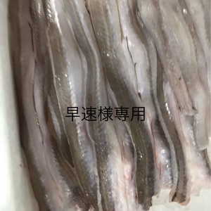 早速様専用