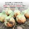 【大玉】淡路島産たまねぎ 特別栽培 兵庫県認証食品 レシピ付き！