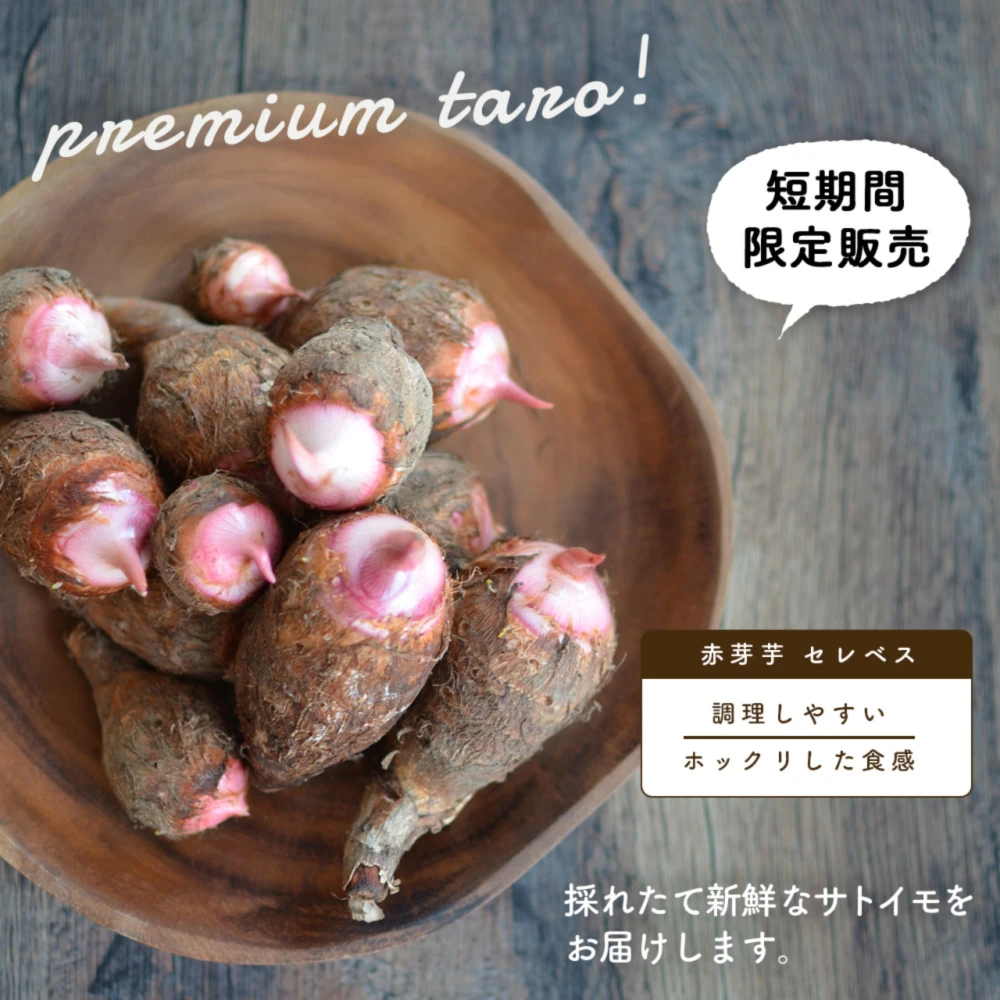 【希少品種！】創業160年の伝統の味！里芋 赤芽芋 セレベス 3kg 宮崎産