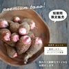 【希少品種！】創業160年の伝統の味！里芋 赤芽芋 セレベス 5kg 宮崎産