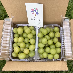 房よりお得な！きざみシャインマスカット