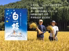 令和7年産新米 11月発送 世界最高米にも選ばれた⭐︎白姫（コシヒカリ）