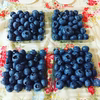 目に良いアントシアニン豊富♪岩手県産ブルーベリー