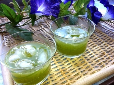 【送料無料】水出し煎茶ティーバッグ！山あい育ちの川根茶ティーバッグ