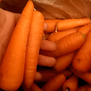 小さめ、とても甘い八ヶ岳高原のにんじん（農薬・化学肥料不使用）