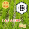令和7年度 熊本県産　くまさんの輝き　玄米5kg