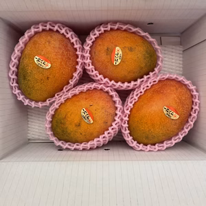 家庭用マンゴー ２kg(3玉～８玉）