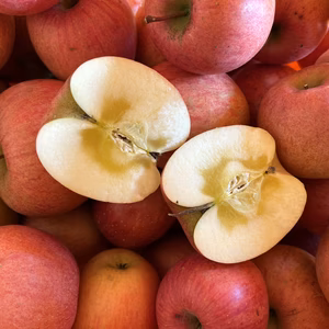 由美子厳選‼️樹上完熟蜜入りサンふじ【5キロ満杯詰め】