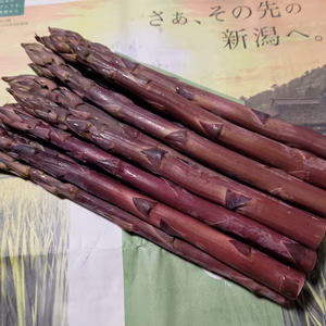 紫アスパラガス A等級