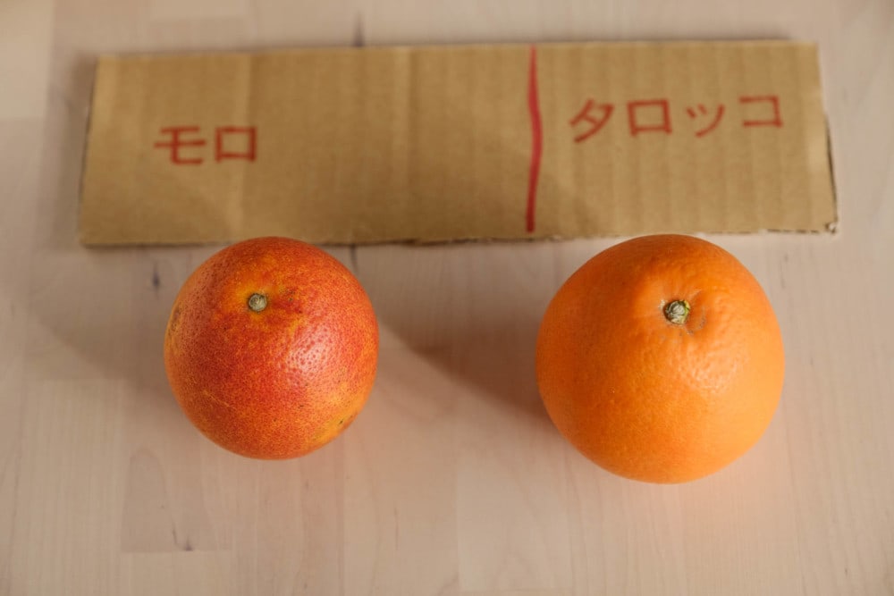赤い 赤くない 2種類のブラッドオレンジを観察して過ごした年春 農家漁師から産地直送の通販 ポケットマルシェ