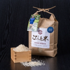冷めても美味しい！【五百川】白米・2kg　特別栽培米　こぴっと米