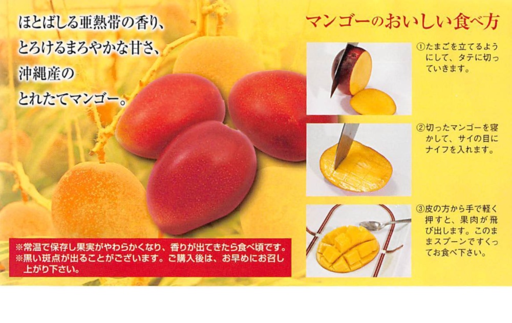 送料無料 とにかく甘い 優品 沖縄県産マンゴー 1kg 2kg 農家漁師から産地直送の通販 ポケットマルシェ