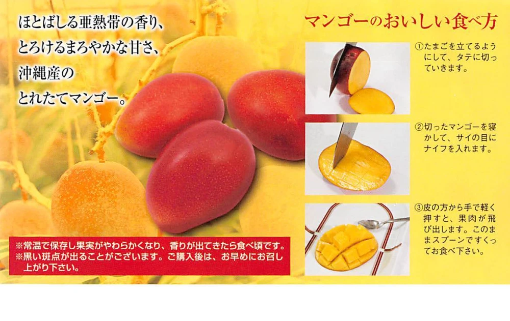 優品] 沖縄県産マンゴー 1.5kg｜果物の商品詳細｜ポケットマルシェ｜産直(産地直送)通販 - 旬の果物・野菜・魚介をお取り寄せ