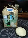 お米の旨味たっぷり自然栽培29年産「ひとめぼれ標準精米」10kg(精米サービス)