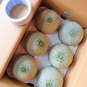 【５月発送】クインシーメロン☆６玉(Lサイズ)【予約】