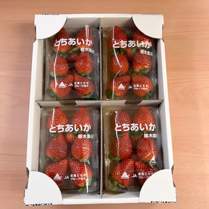 ⚠️説明必読⚠️『加工用とちあいか』フレーズのこだわり完熟いちご