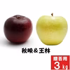 信州産 王林&秋映【贈答用 3kg】2種食べ比べセット☆10月上旬頃出荷予定