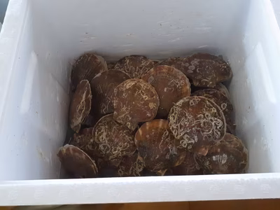 みんなの投稿の画像