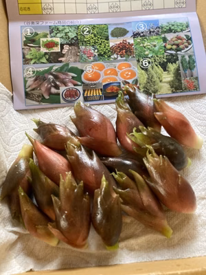 みんなの投稿の画像