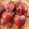 ビーツ | Beets【農薬・化学肥料不使用】2kg