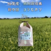 R6年産特別栽培米　彩の国　コシヒカリ　